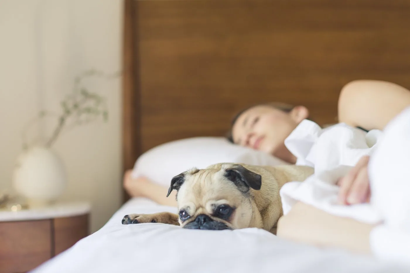 Bagi sebagian besar orang dewasa, tidur selama 7 hingga 9 jam adalah titik optimal untuk pemulihan.